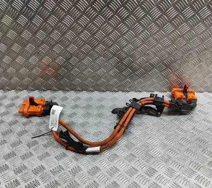 Audi Q4 Sportback e-tron Other wiring loom 1EA971015AA 1EA973732X