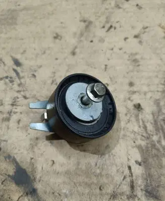 Citroen C6 Belt tensioner pulley BT6006RSK 26021917
