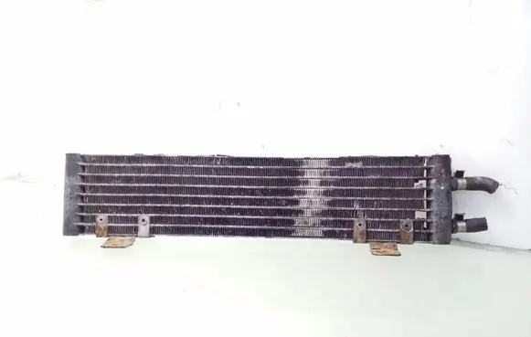 Mercedes-Benz ML W163 Engine oil radiator 