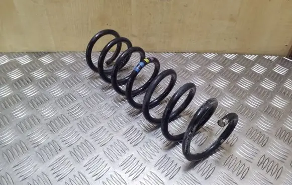 Rear coil spring