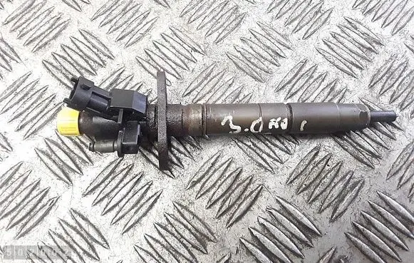 Citroen C5 Fuel injector 0445116013 9x2q9k546db