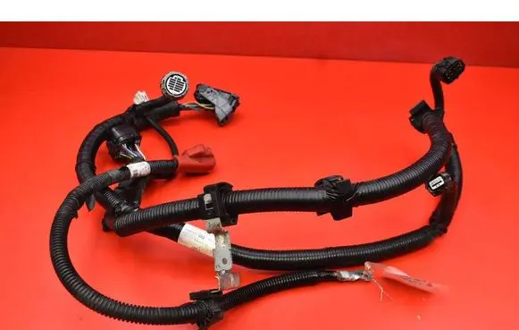 Other wiring loom
