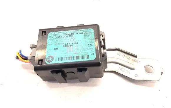 Hyundai Kona I Other control units/modules 95420J9700