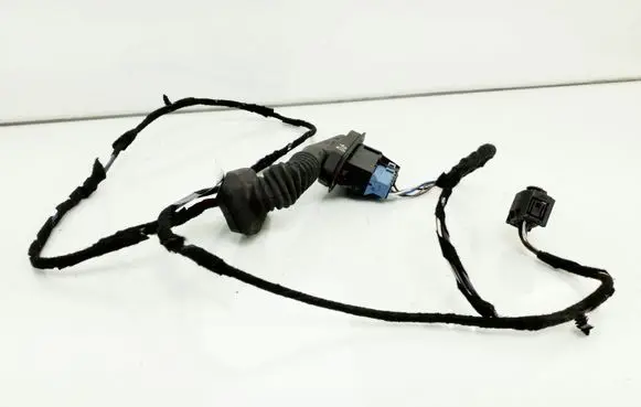 Rear door wiring loom
