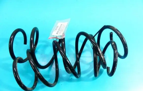 Front coil spring