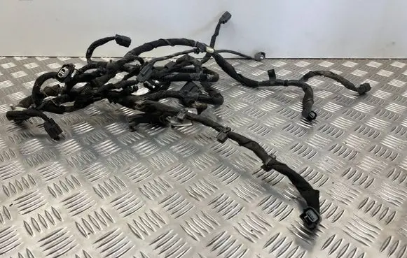Ford Fusion II Other wiring loom HG9T15K867LC HG9T14K011AB