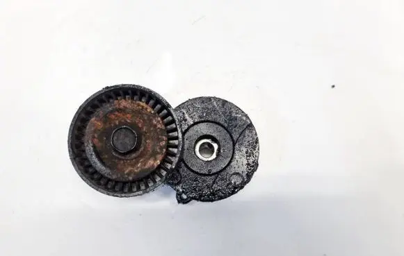 Fiat Doblo Generator/alternator belt tensioner 55222539