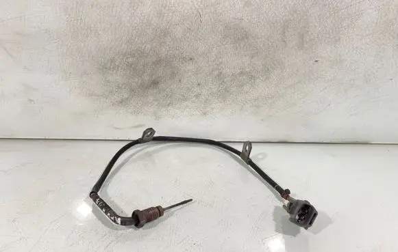 Toyota RAV 4 (XA30) Exhaust gas temperature sensor