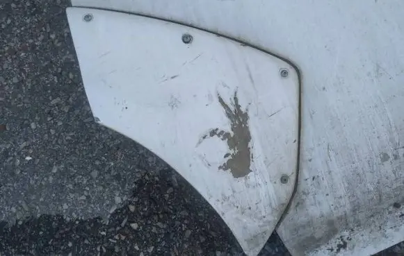 Nissan NV200 Rear door trim (molding)