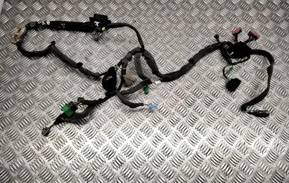 Front door wiring loom