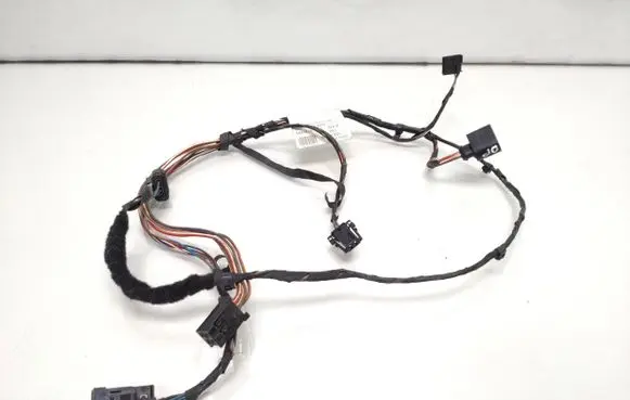 Front door wiring loom