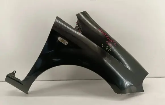 Fiat Punto Evo Fender