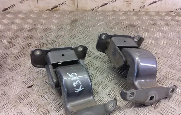 Renault Trafic III (X82) Rear door hinge set 904006707R