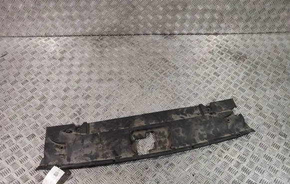 Engine bonnet/hood lock trim molding