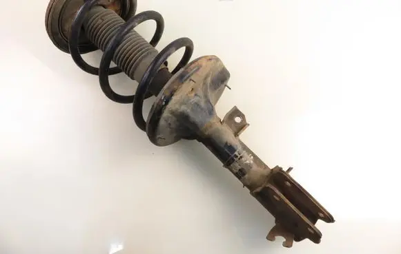 Hyundai Santa Fe Front shock absorber with coil spring