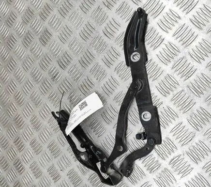 BMW 2 F22 F23 Tailgate/trunk/boot hinge 7304558