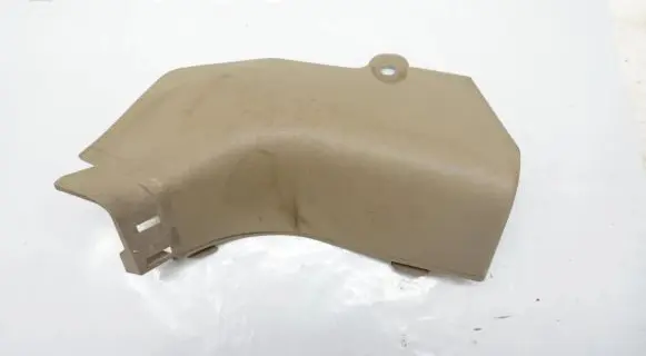 Renault Koleos I Front sill trim cover 66900JY400