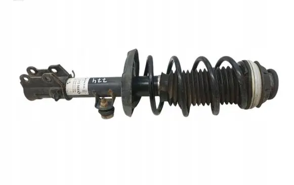 Opel Corsa D Front shock absorber/damper 313566