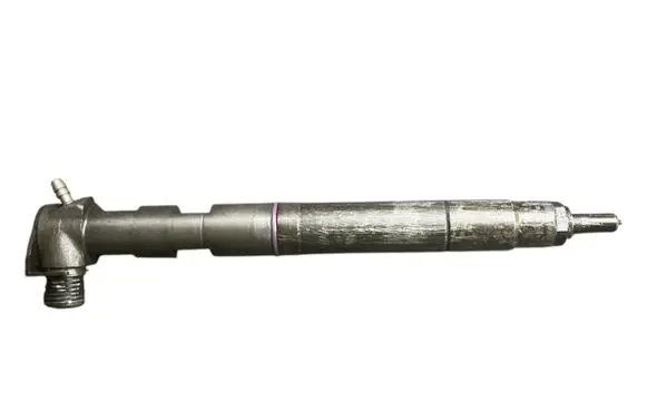 Opel Antara Fuel injector 28489548