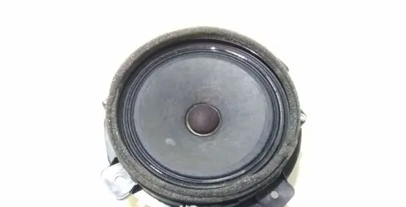Rear door speaker