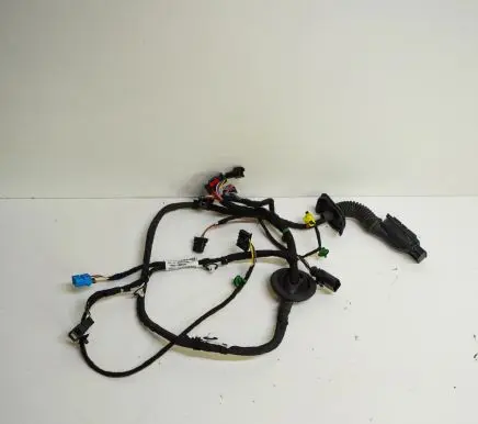 Front door wiring loom
