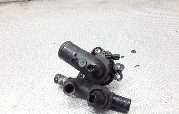 Thermostat/thermostat housing