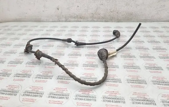 Volkswagen PASSAT B6 Rear ABS sensor wiring 3C0927904C