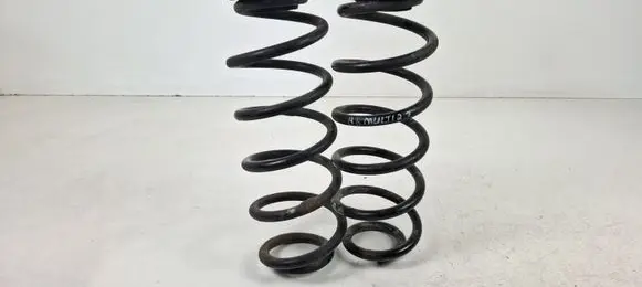 Rear coil spring