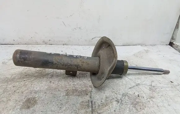 Peugeot 206 Front shock absorber/damper