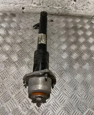 BMW X5 E70 Rear shock absorber/damper 6781927