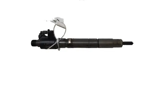 Jaguar XF X250 Fuel injector 0455116013