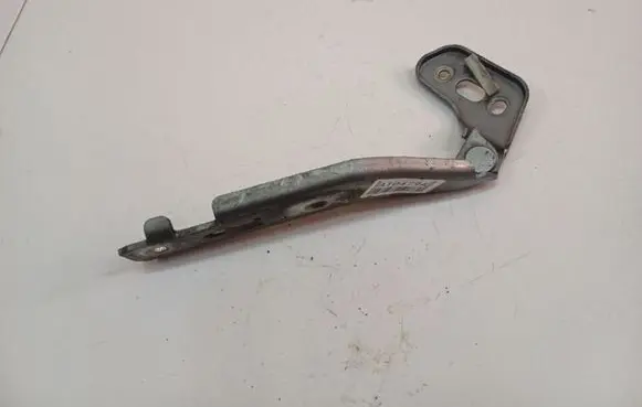 Tailgate/trunk/boot hinge