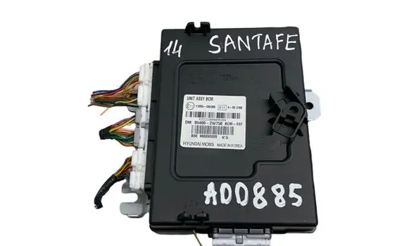 Hyundai Santa Fe Other control units/modules 954002W750 E11116RA000386