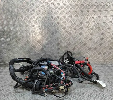 Tesla Model Y Other wiring loom 248905808B