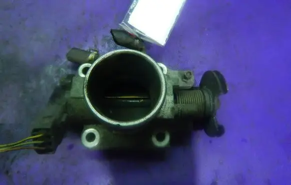 Throttle body valve