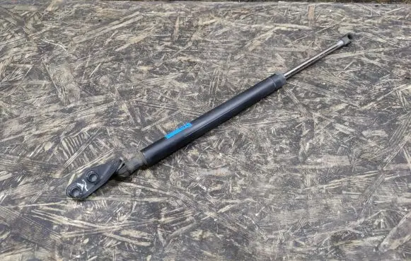 Tailgate strut