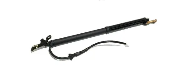 Tailgate/trunk strut/damper