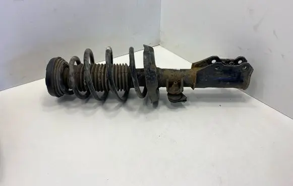 Opel Insignia A Front shock absorber with coil spring E461260