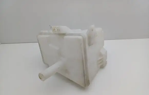 Nissan Primera Windshield washer fluid reservoir/tank 289106F100