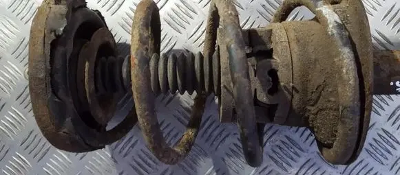 Renault Scenic I Front coil spring