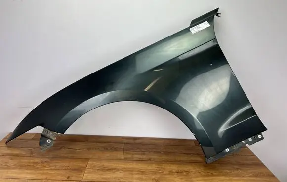 Ford Mustang VI Fender BLOTNIKMUSTANGL