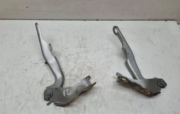 Toyota RAV 4 (XA20) Engine bonnet/hood hinges