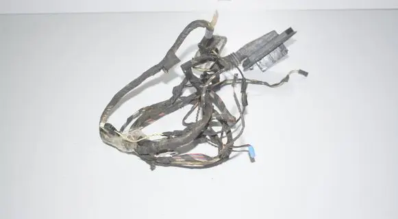 BMW 5 GT F07 Front door wiring loom 9169241 61139169241