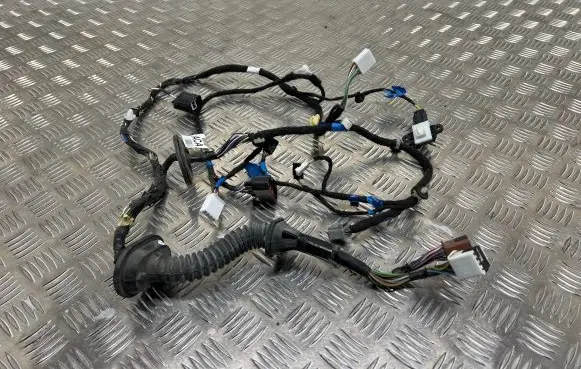 Front door wiring loom