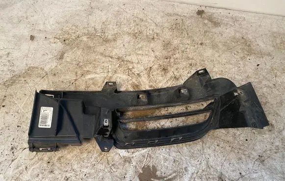 Dodge Charger Front fog light trim/grill 515000796
