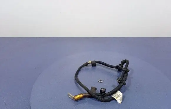 Other wiring loom