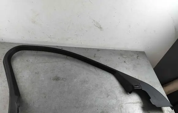 Jaguar F-Pace Front door glass trim molding T4A41475