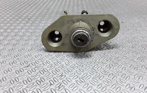 Volvo S60 Tailgate exterior lock 737700001