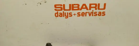 Subaru Outback (BS) Rear anti-roll bar/stabilizer link 