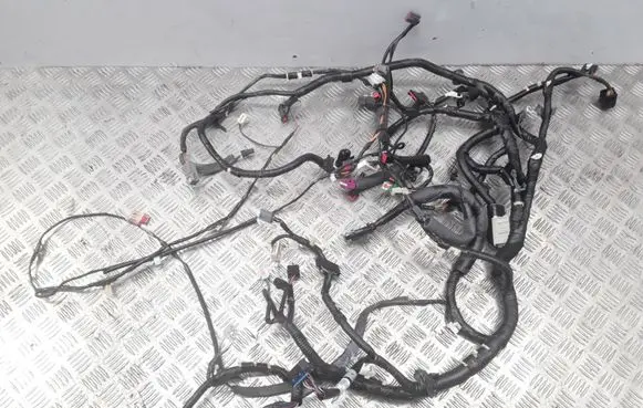 Ford Maverick Panel wiring 5L8T14401J4CP0 5L8T14401